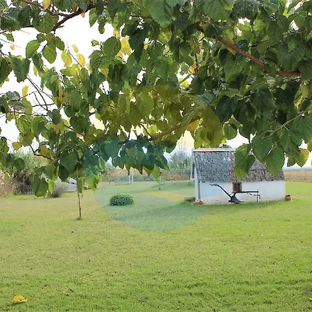 Fonsa - Casa Rural En El Delta Del Ebro Con Jardin Y Piscina Privada *