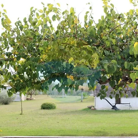 Fonsa - Casa Rural En El Delta Del Ebro Con Jardin Y Piscina Privada